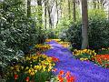 Nature (11)